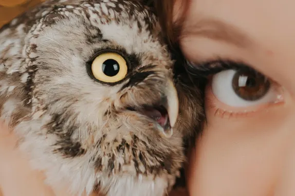 Paradise Casino Supporto